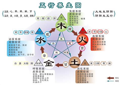 木的工作|五行与职业的划分（最新版）五行属木的职业有哪些